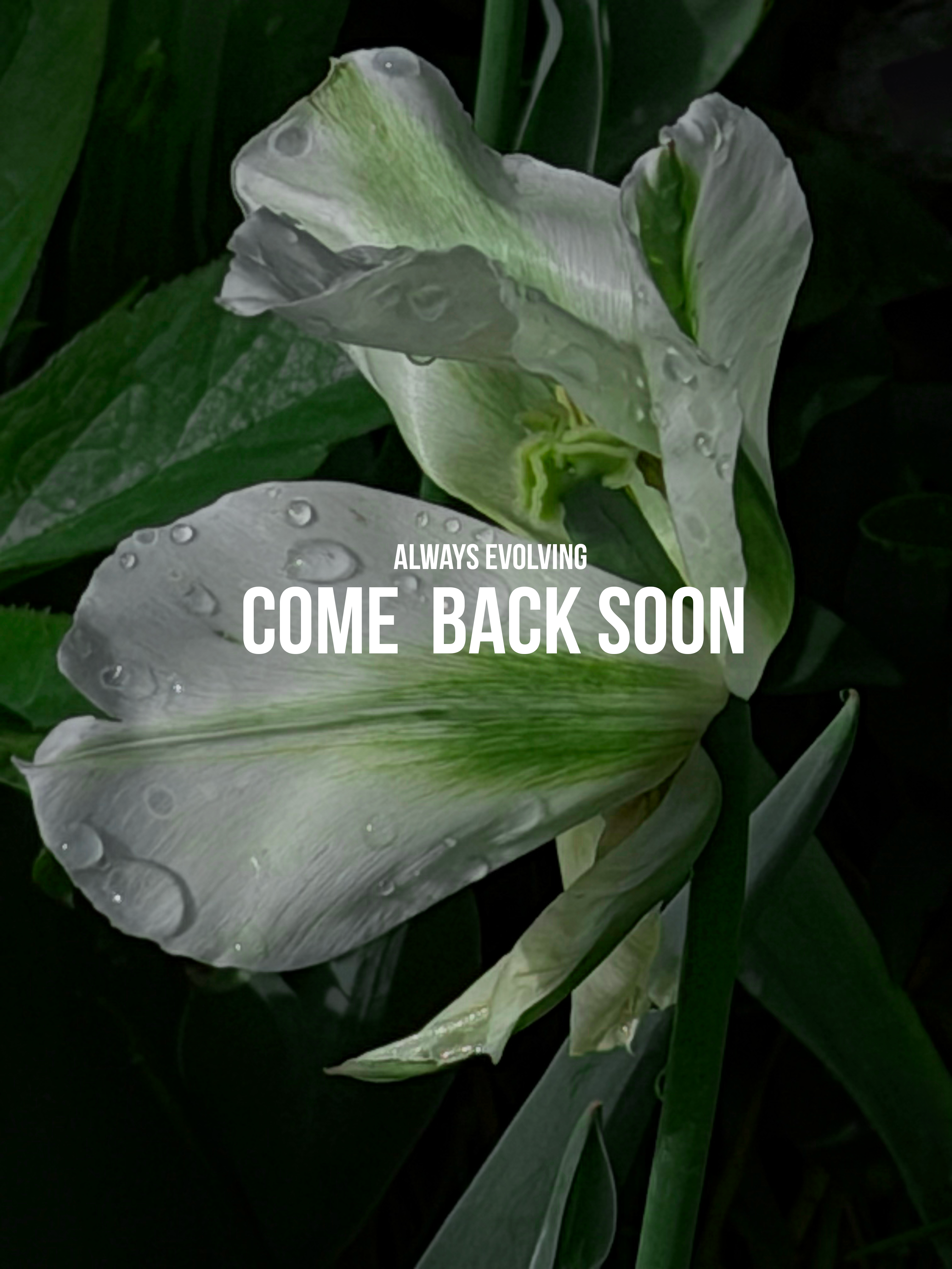 Coming Soon