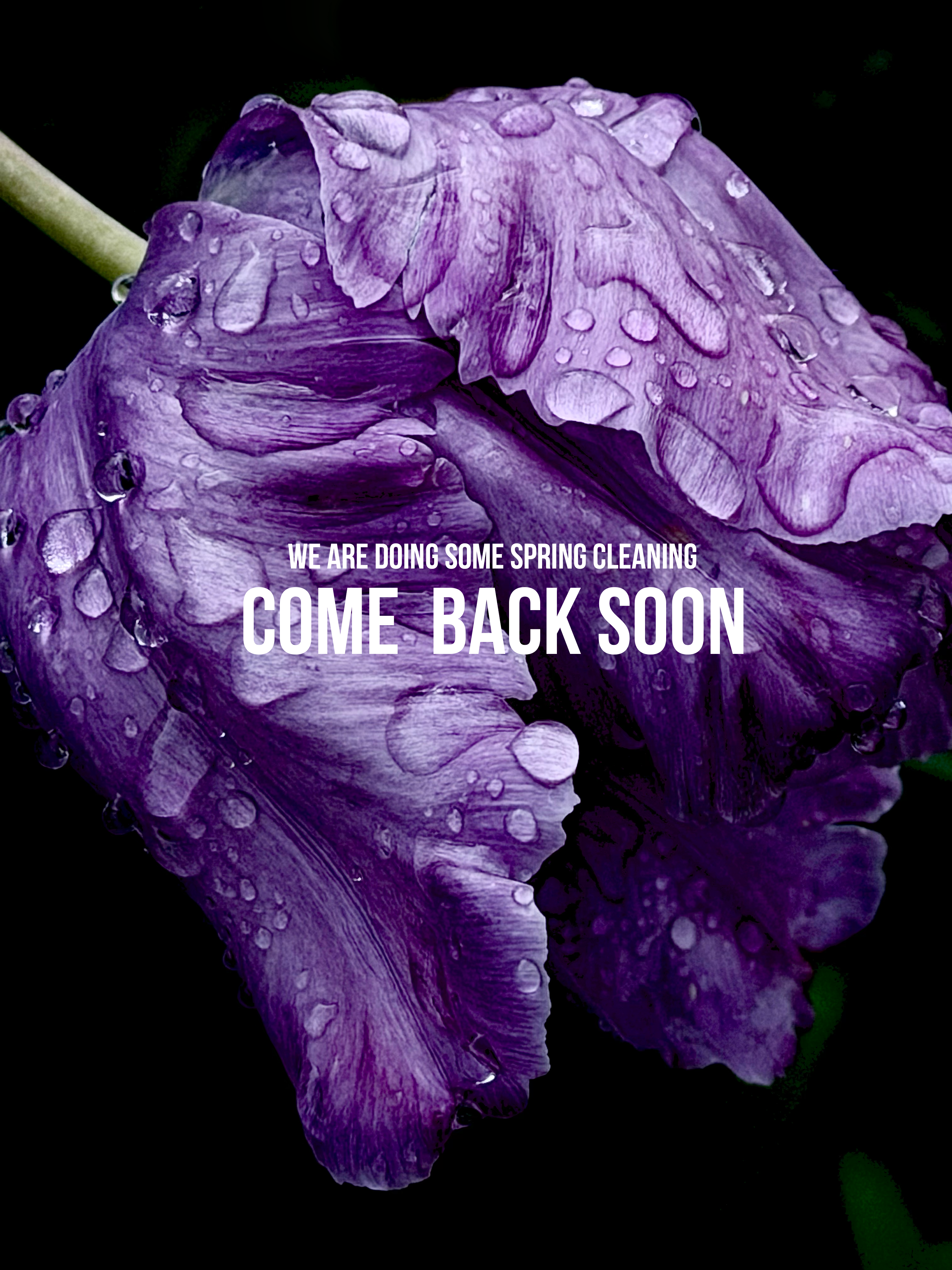 Coming Soon